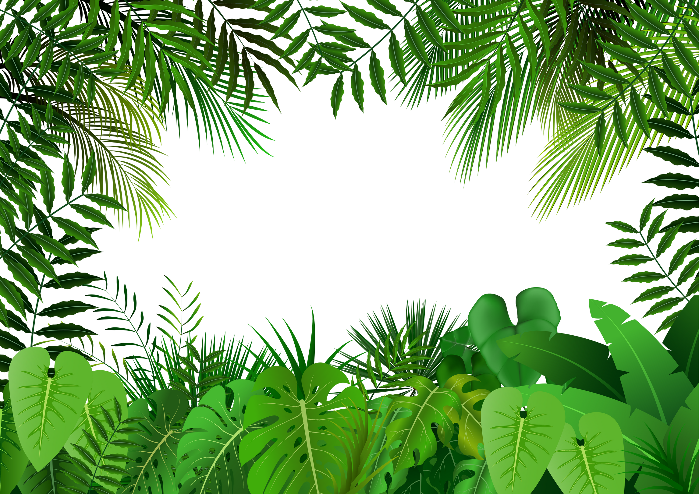 Tropical Leaves Background